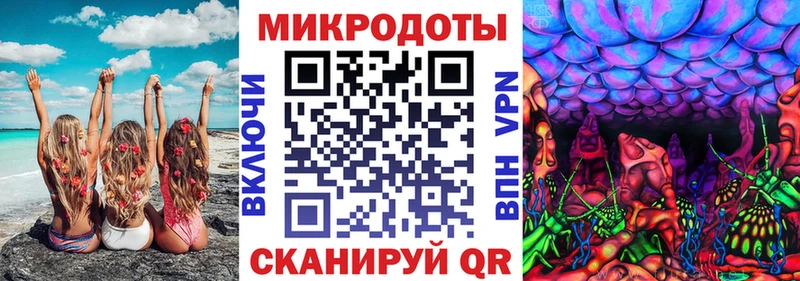 Псилоцибиновые грибы Psilocybe  Славск 